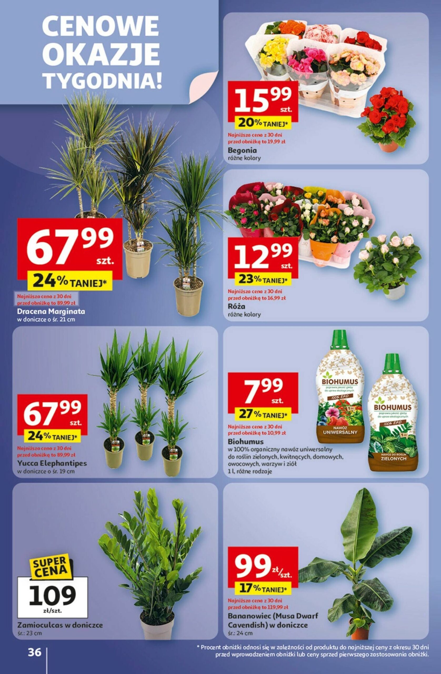 Page 36 of Aktuálny auchan-polsko leták platný od štvrtka 02.10 do 08.10