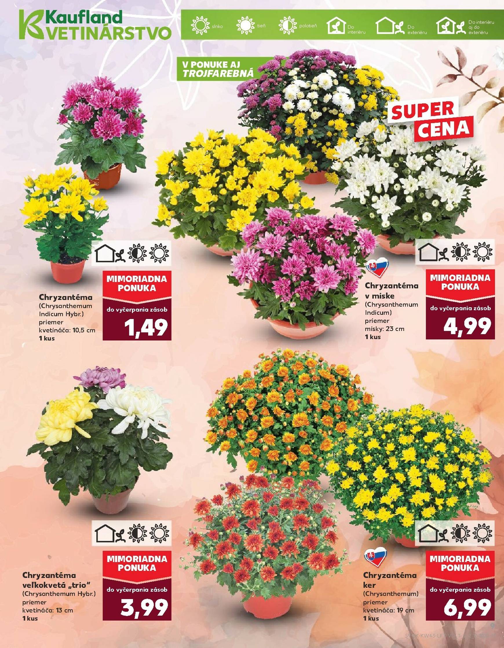 Page 9 of Aktuálny kaufland leták platný od štvrtka 23.10 do 29.10