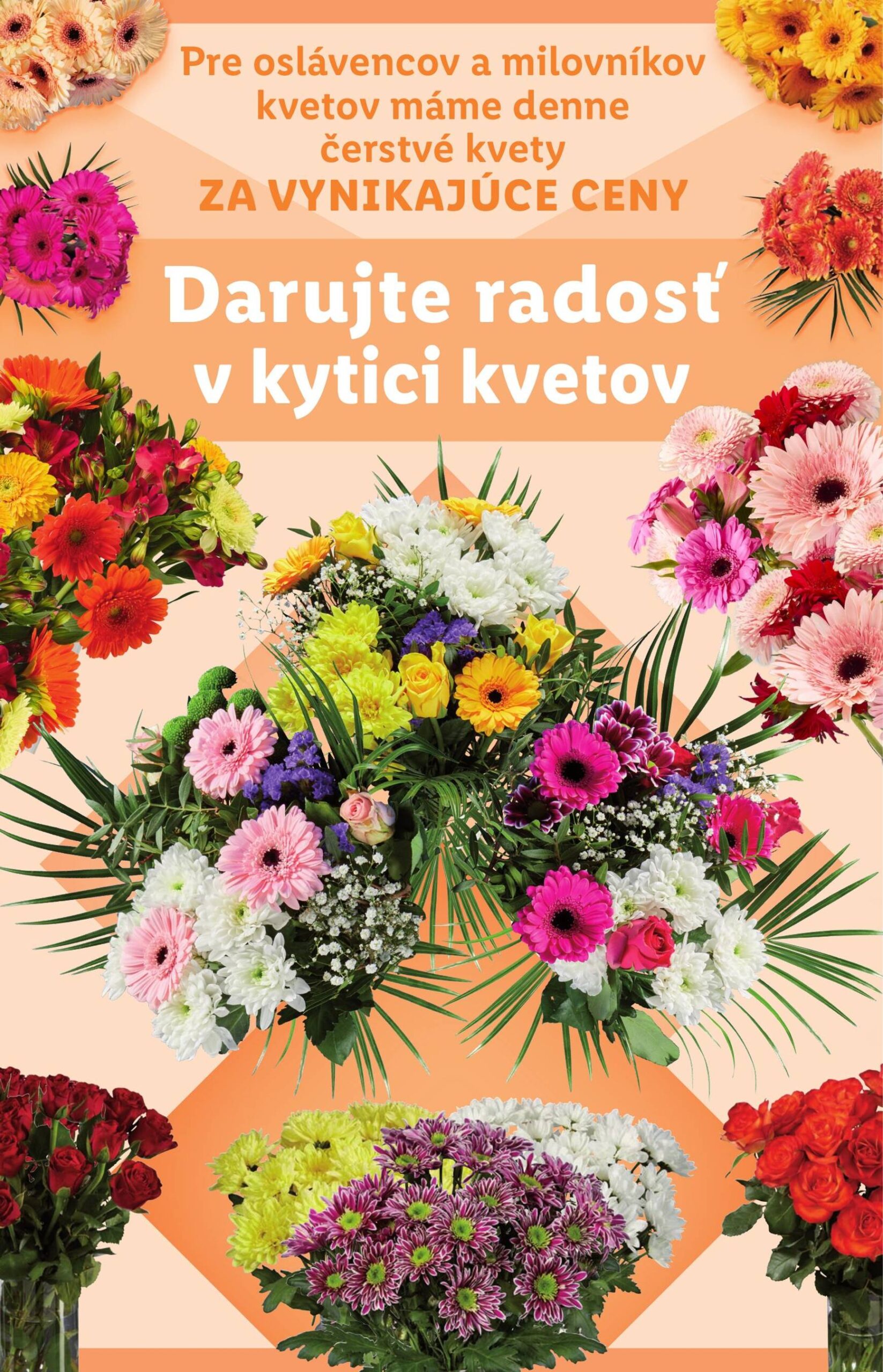 Page 42 of Aktuálny lidl leták platný od pondelka 27.10 do 02.11