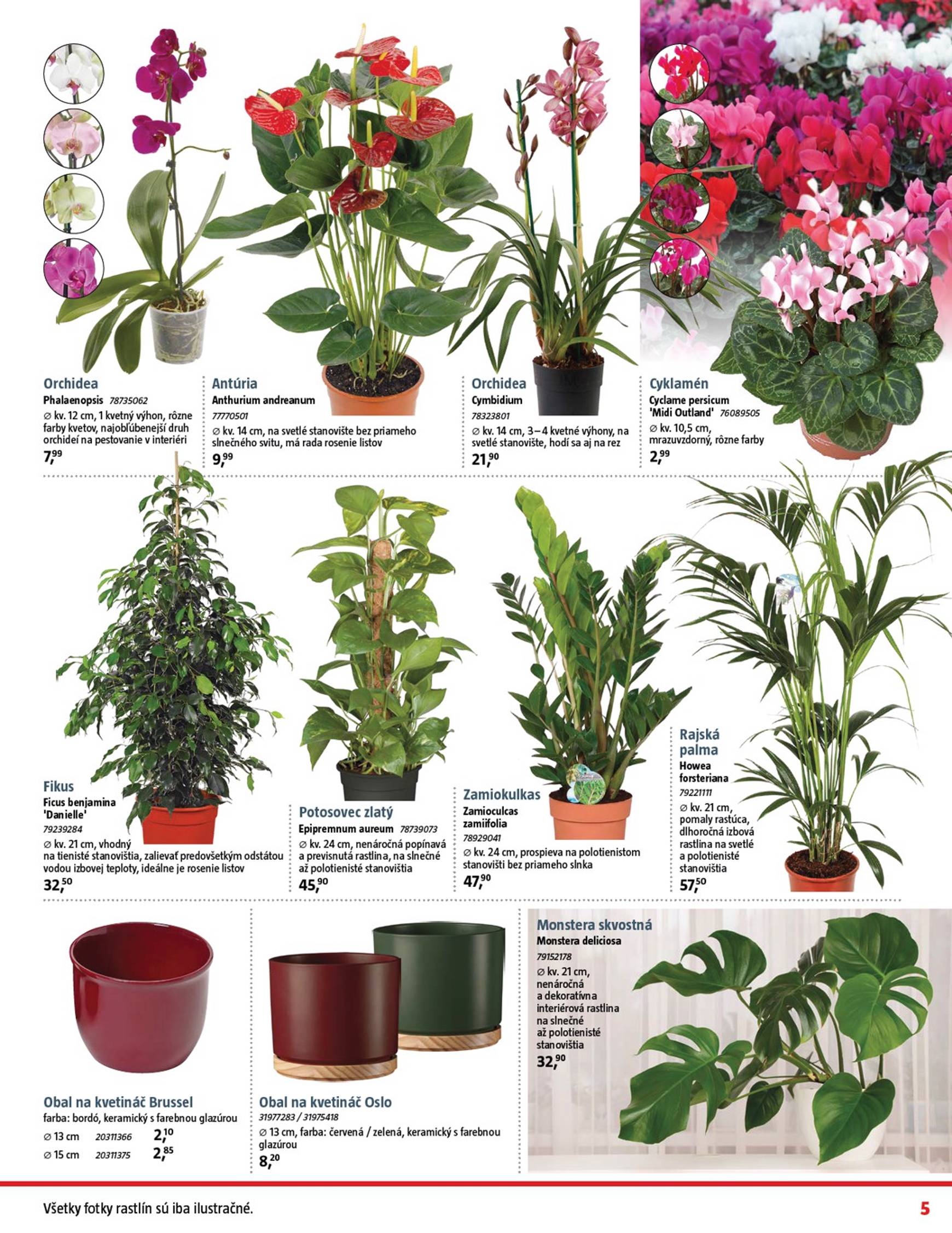 Page 5 of Aktuálny bauhaus leták platný od pondelka 03.11 do 07.12