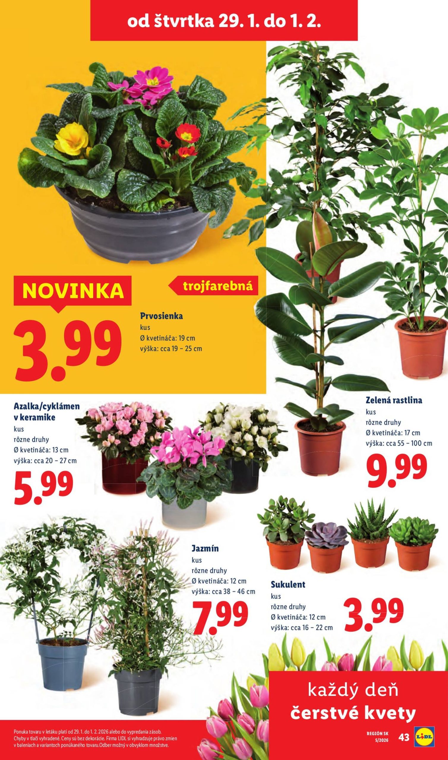 Page 27 of Aktuálny lidl leták platný od štvrtka 29.01 do 01.02