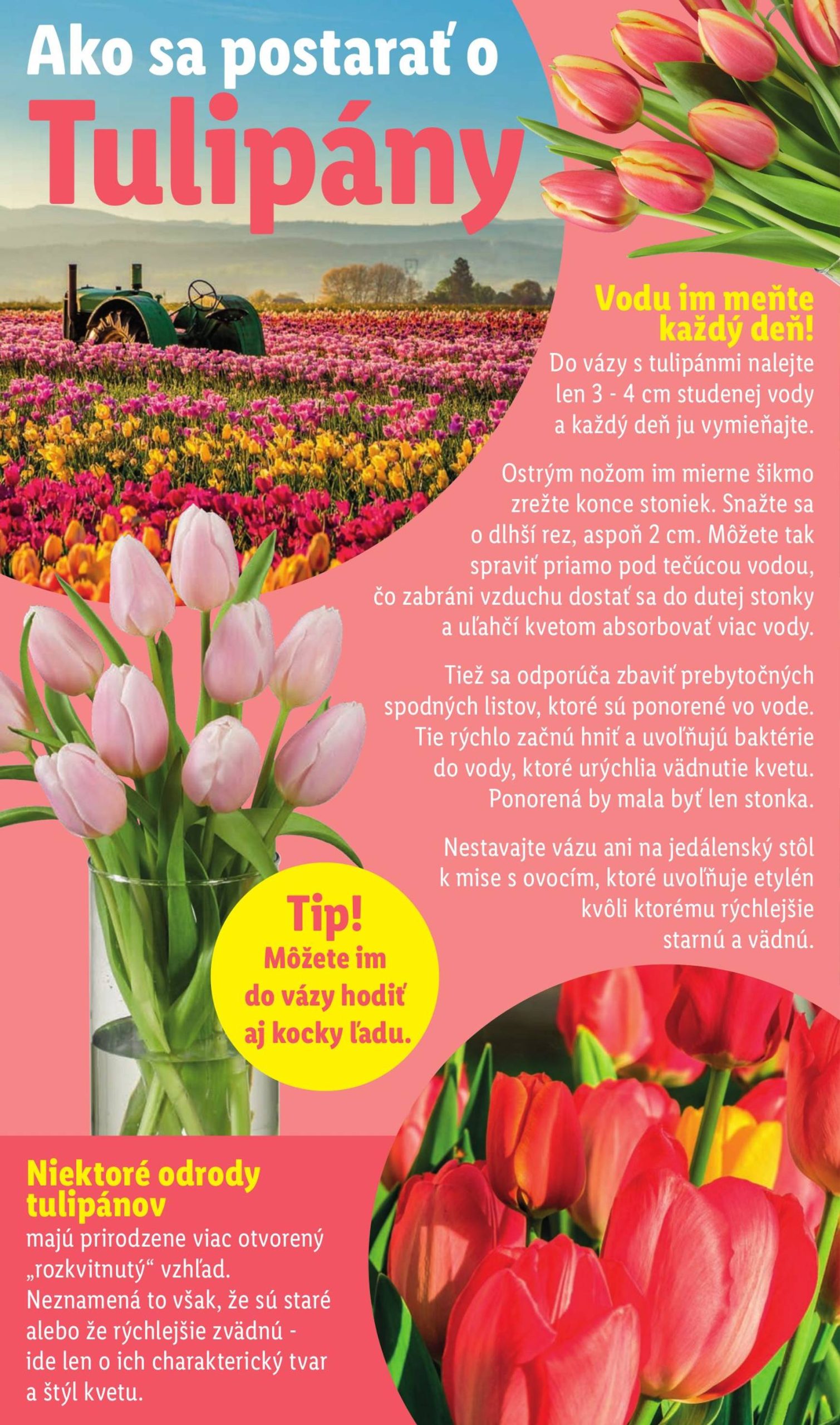 Page 69 of Aktuálny lidl leták platný od štvrtka 19.02 do 22.02