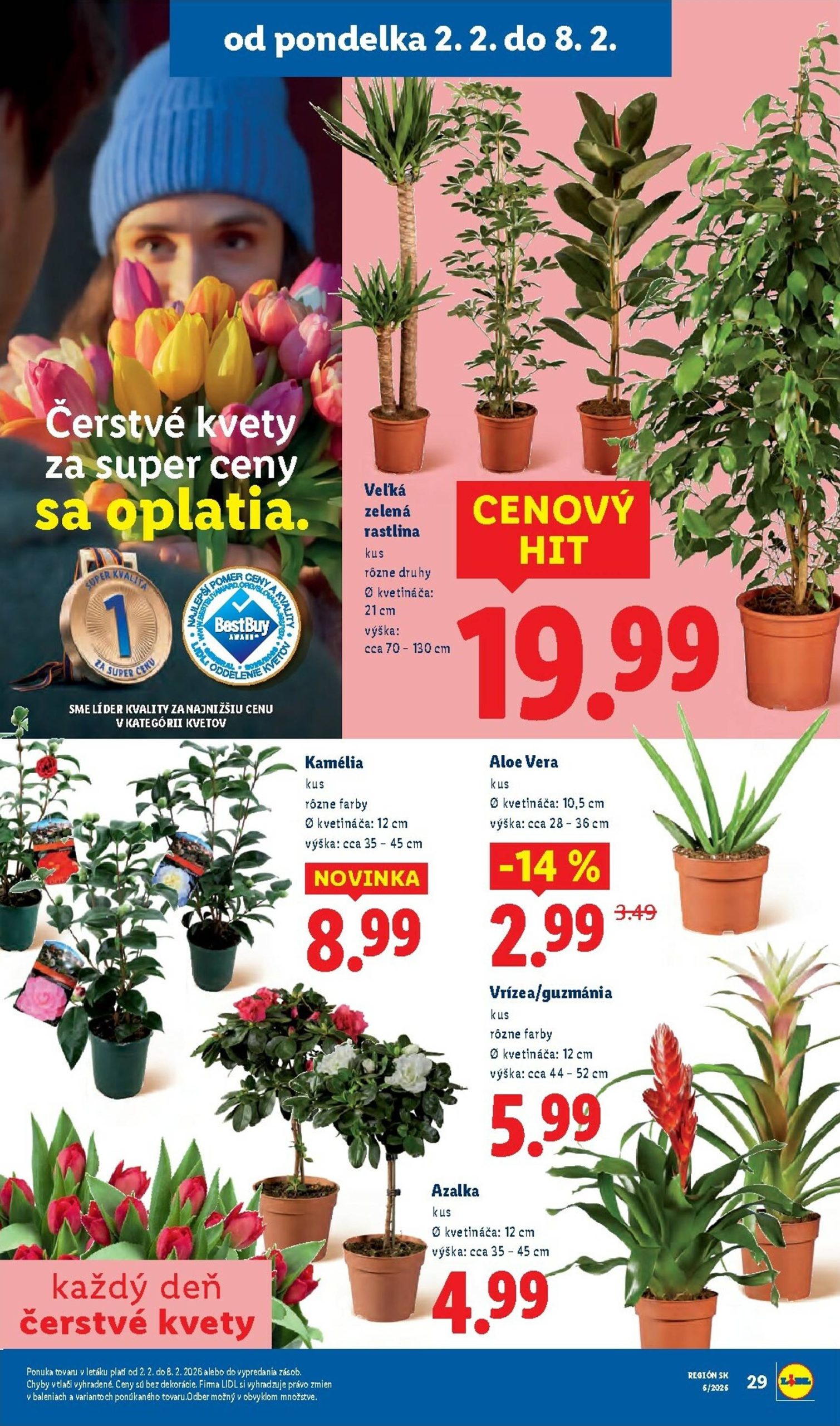 Page 37 of Aktuálny lidl leták platný od pondelka 02.02 do 08.02