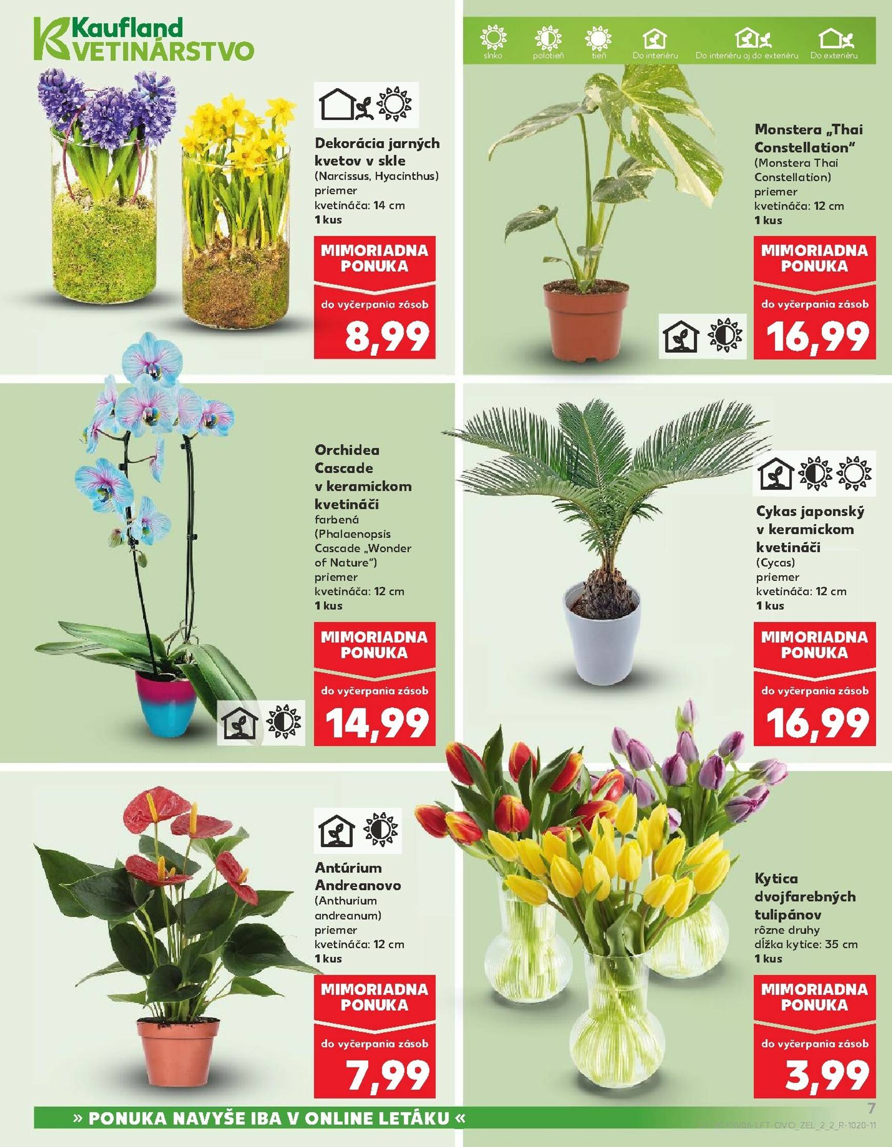 Page 7 of Aktuálny kaufland leták platný od štvrtka 05.02 do 11.02