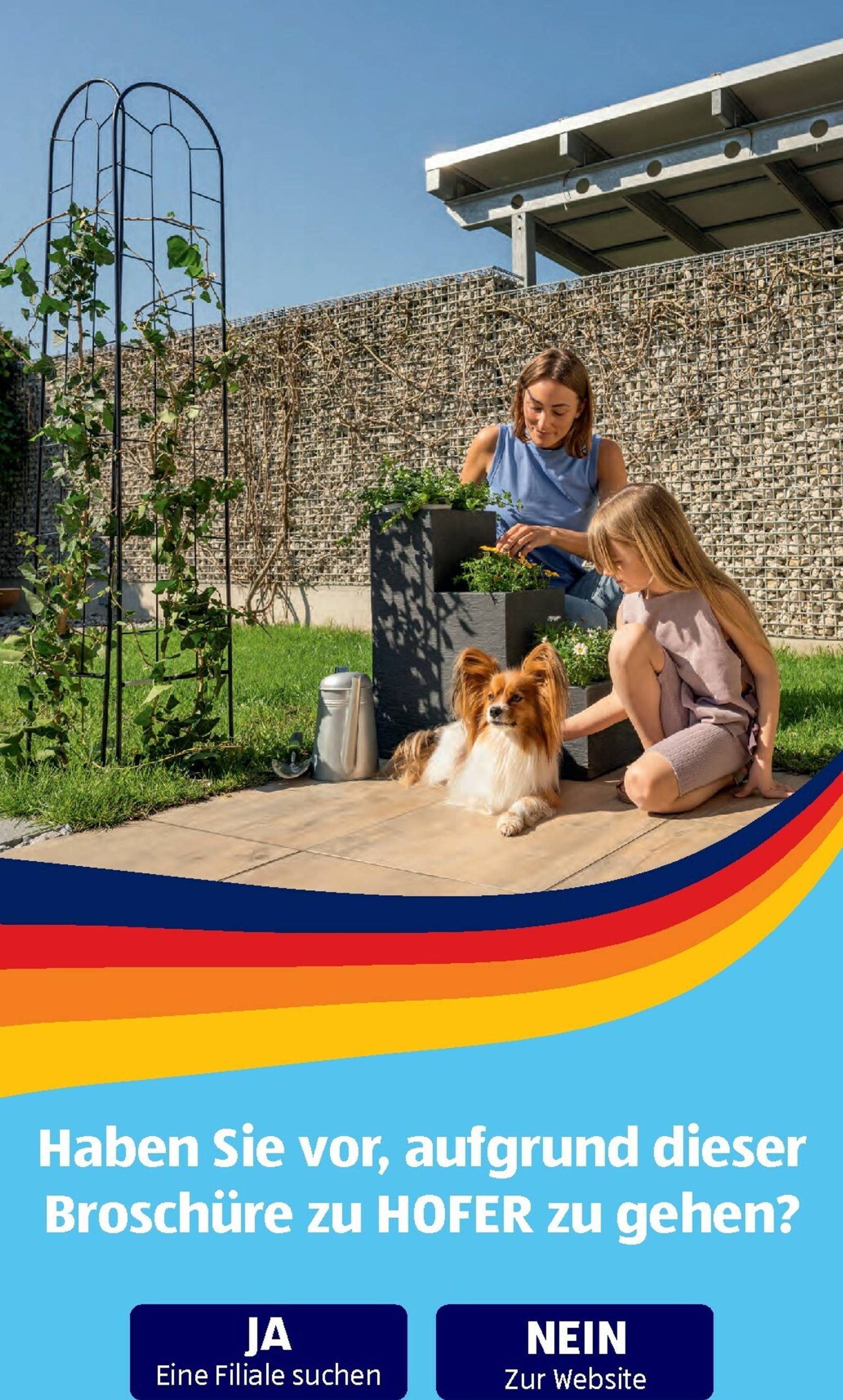 Page 41 of Aktuálny hofer-rakusko leták platný od piatka 06.02 do 12.02