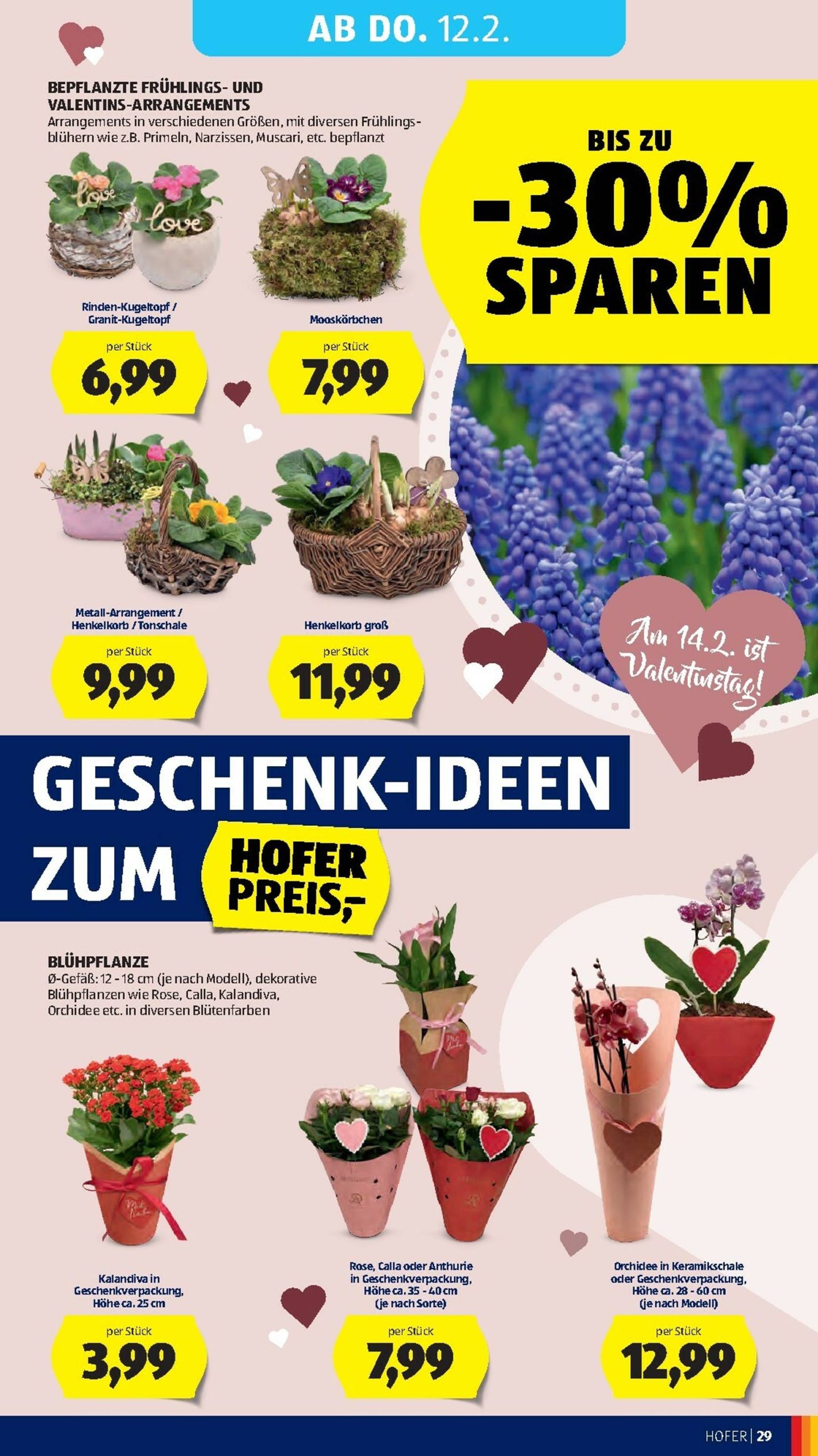 Page 33 of Aktuálny hofer-rakusko leták platný od piatka 06.02 do 12.02