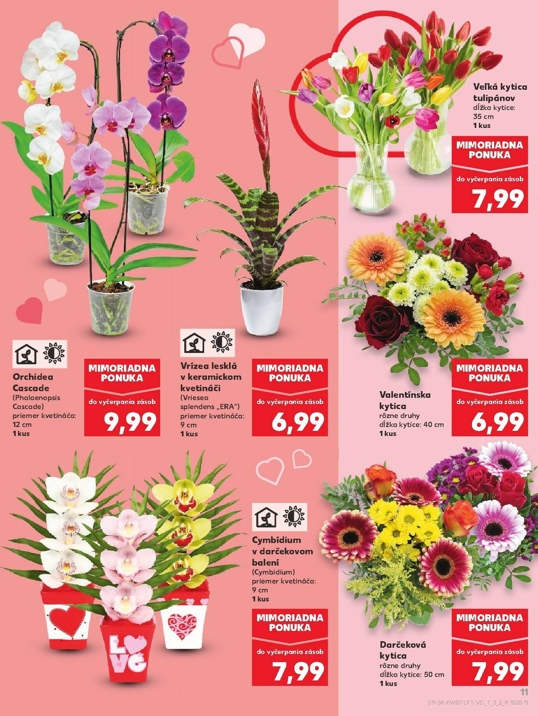 Page 11 of Aktuálny kaufland leták platný od štvrtka 12.02 do 18.02